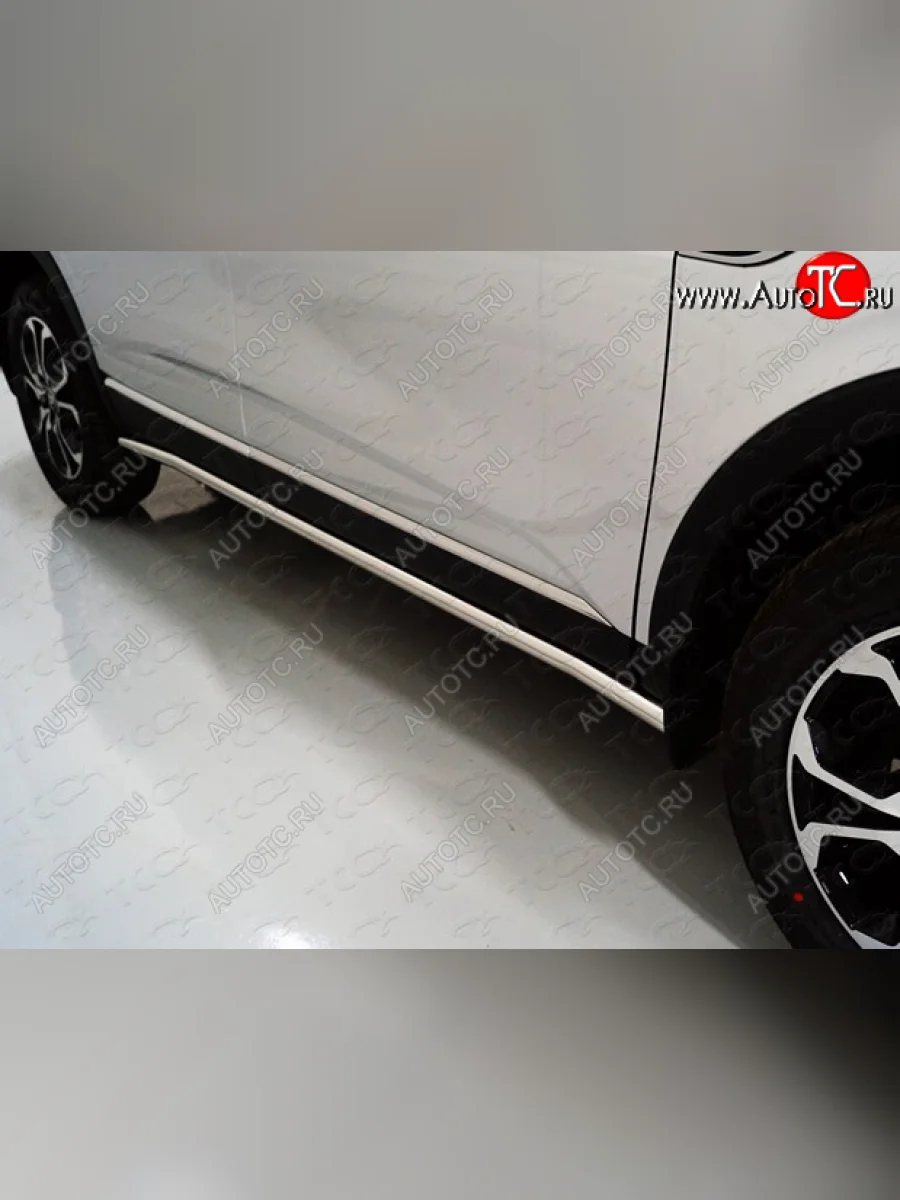 Защита порогов труба d42,4 мм ТСС Тюнинг Renault Arkana (2019-2025) (серые)  в Перми Пермском крае