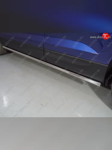 Защита порогов труба d42,4 мм ТСС Тюнинг (серые) Volkswagen Taos (2020-2022)