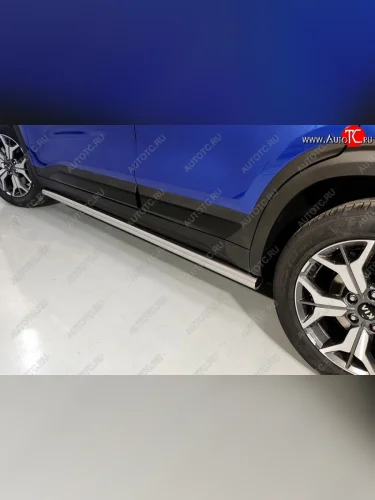 Защита порогов труба d60,3 мм ТСС Тюнинг (серые) KIA Seltos SP2 дорестайлинг (2019-2022)