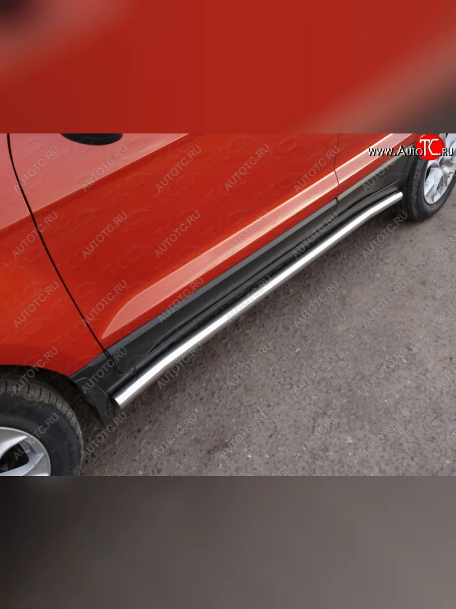 Защита порогов труба d60,3 мм ТСС Тюнинг Ford EcoSport дорестайлинг (2013-2019) (серые)  в Перми Пермском крае