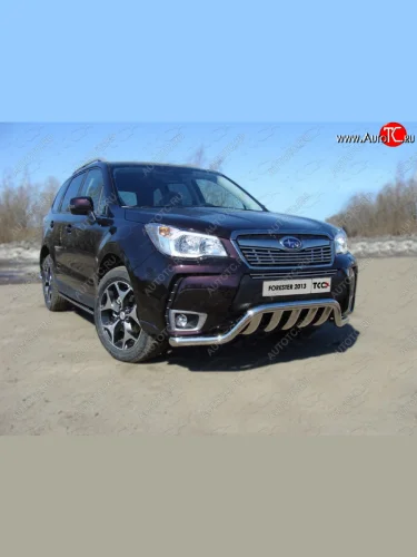 Защита переднего бампера кенгурин с вставкой 60,3*75 мм ТСС Тюнинг (нержавейка) Subaru Forester  SJ (2012-2016) дорестайлинг