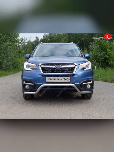 Защита переднего бампера кенгурин 60,3 мм ТСС Тюнинг (нержавейка) Subaru Forester  SJ (2016-2019) рестайлинг