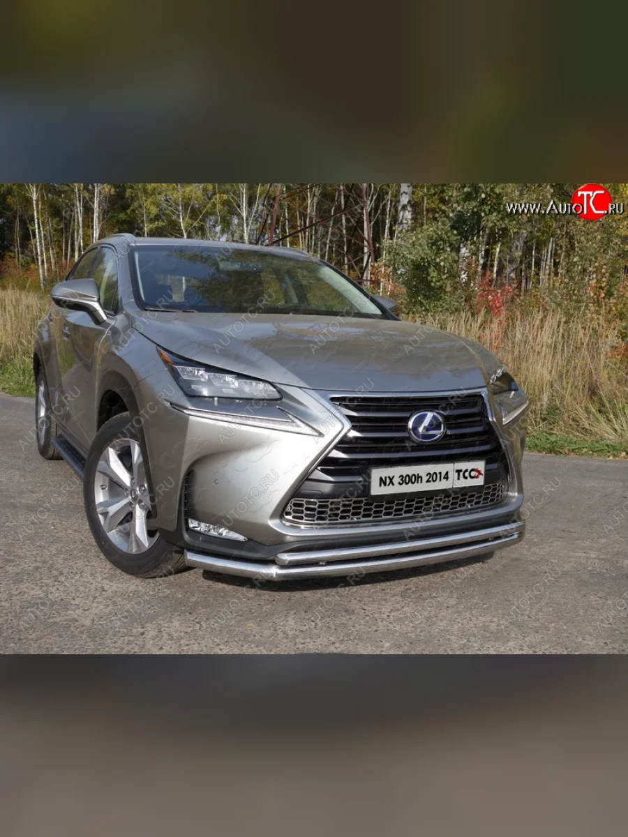 Защита переднего бампера нижняя двойная 60,3*42,4 мм ТСС Тюнинг Lexus NX300h Z10 дорестайлинг (2014-2017) (нержавейка)  в Самаре Самарской области