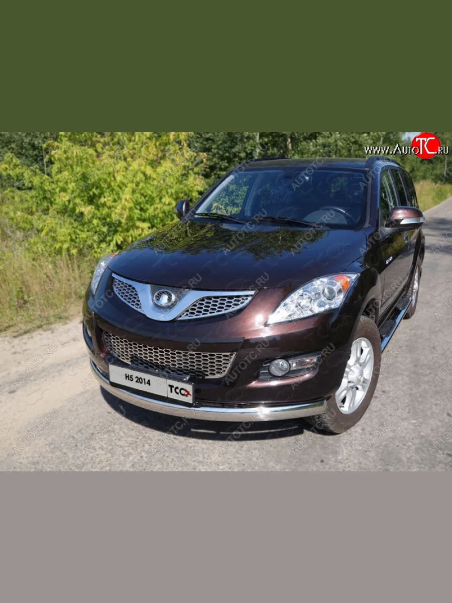 Защита передняя нижняя овальная длинная 75х42 мм ТСС Тюнинг Great Wall Hover H5 (2010-2017) (нержавейка)  в Самаре Самарской области