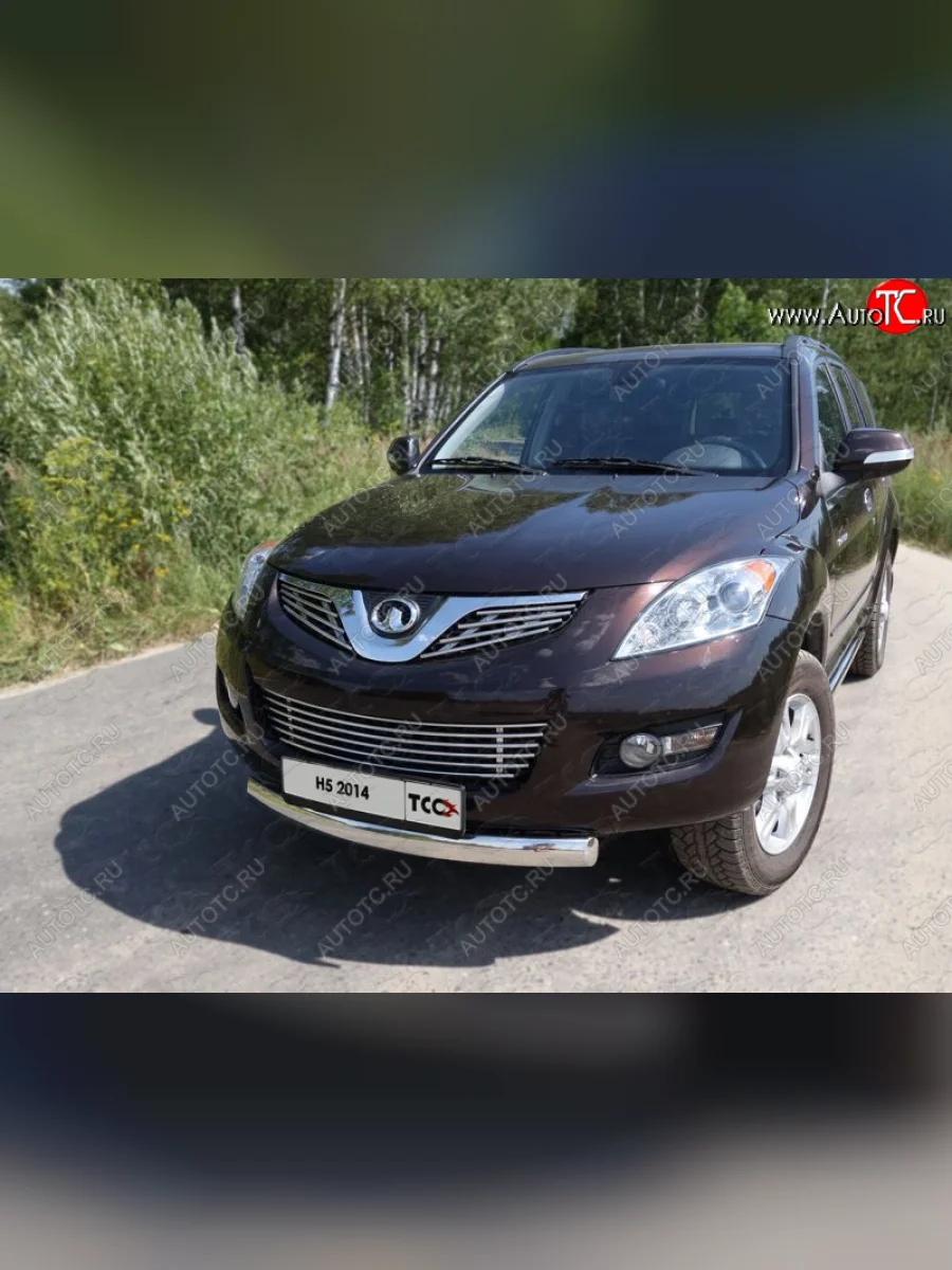 Защита передняя нижняя овальная короткая 75х42 мм ТСС Тюнинг Great Wall Hover H5 (2010-2017) (нержавейка)  в Самаре Самарской области