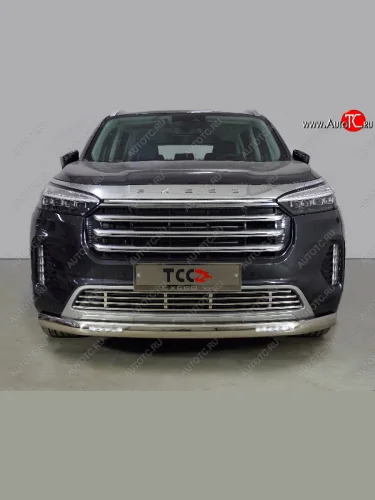 Защита переднего бампера нижняя овальная с ДХО 75х42 мм ТСС Тюнинг (нержавейка) EXEED VX дорестайлинг (2020-2023)