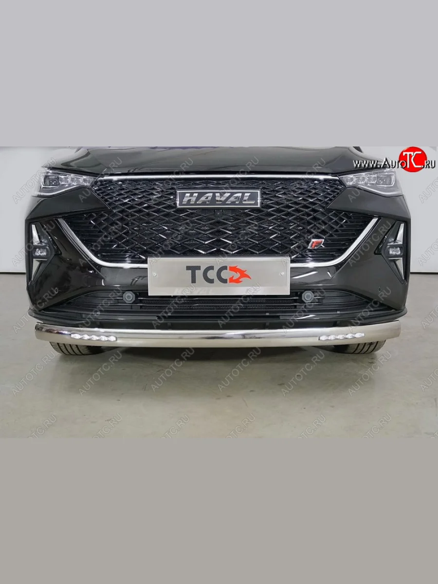 Защита переднего бампера нижняя овальная с ДХО 75х42 мм ТСС Тюнинг Haval F7 рестайлинг (2022-2024) (нержавейка)  в Самаре Самарской области