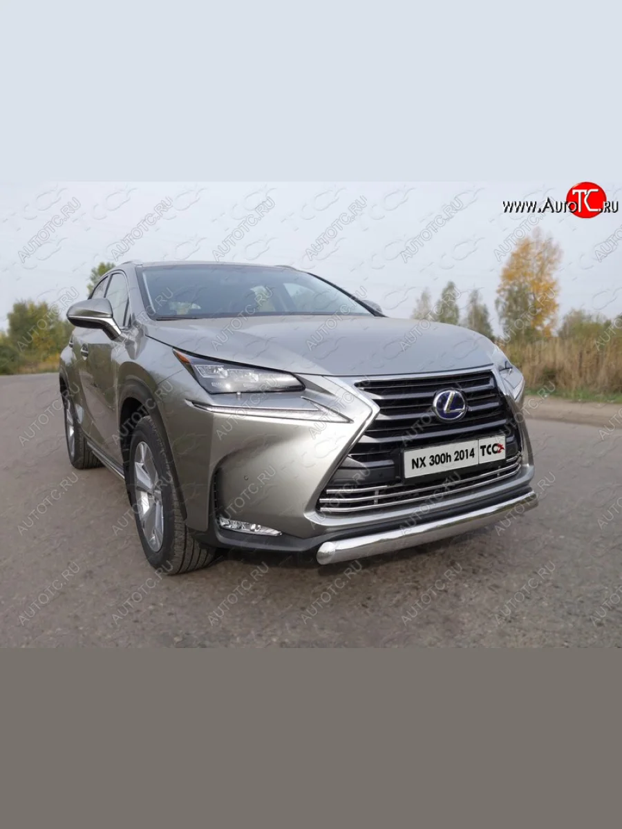 Защита переднего бампера нижняя овальная 75х42 мм ТСС Тюнинг Lexus NX300h Z10 дорестайлинг (2014-2017) (нержавейка)  в Керчи Республика Крым