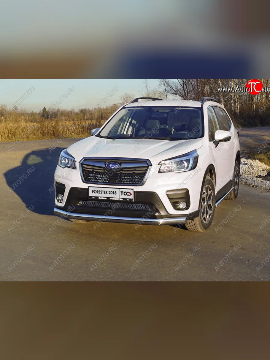 Защита переднего бампера нижняя овальная 75х42 мм ТСС Тюнинг Subaru Forester SK/S14 дорестайлинг (2018-2021) (нержавейка)  в Самаре Самарской области