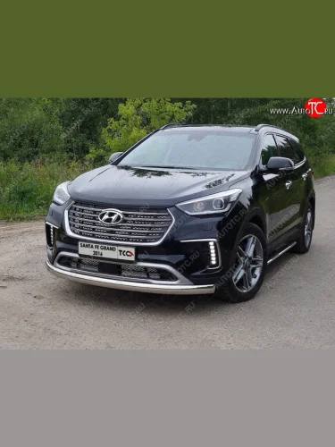 Защита переднего бампера нижняя овальная 75х42 мм ТСС Тюнинг (нержавейка) Hyundai Grand Santa Fe  1 DM (2016-2018) рестайлинг