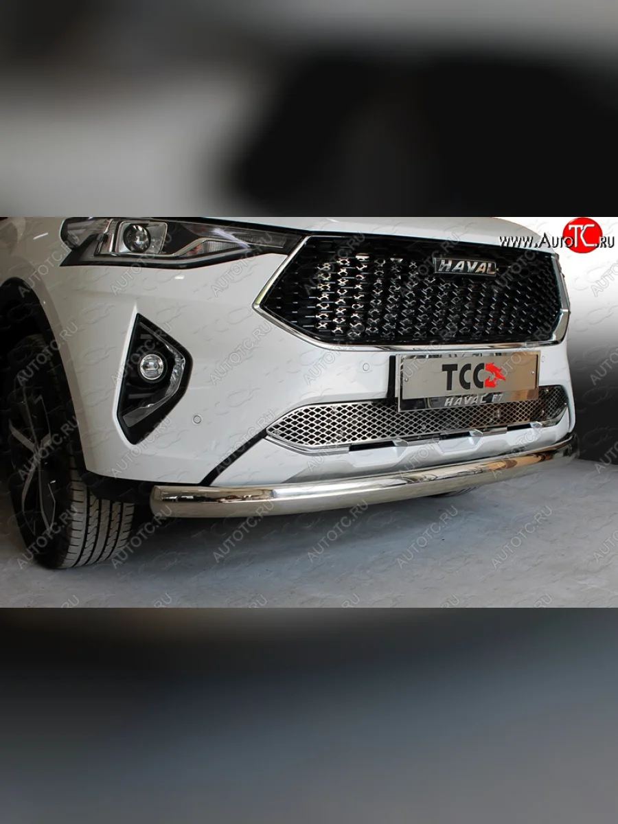 Защита переднего бампера нижняя овальная 75х42 мм ТСС Тюнинг Haval F7  дорестайлинг (2018-2022) (нержавейка)  в Керчи Республика Крым