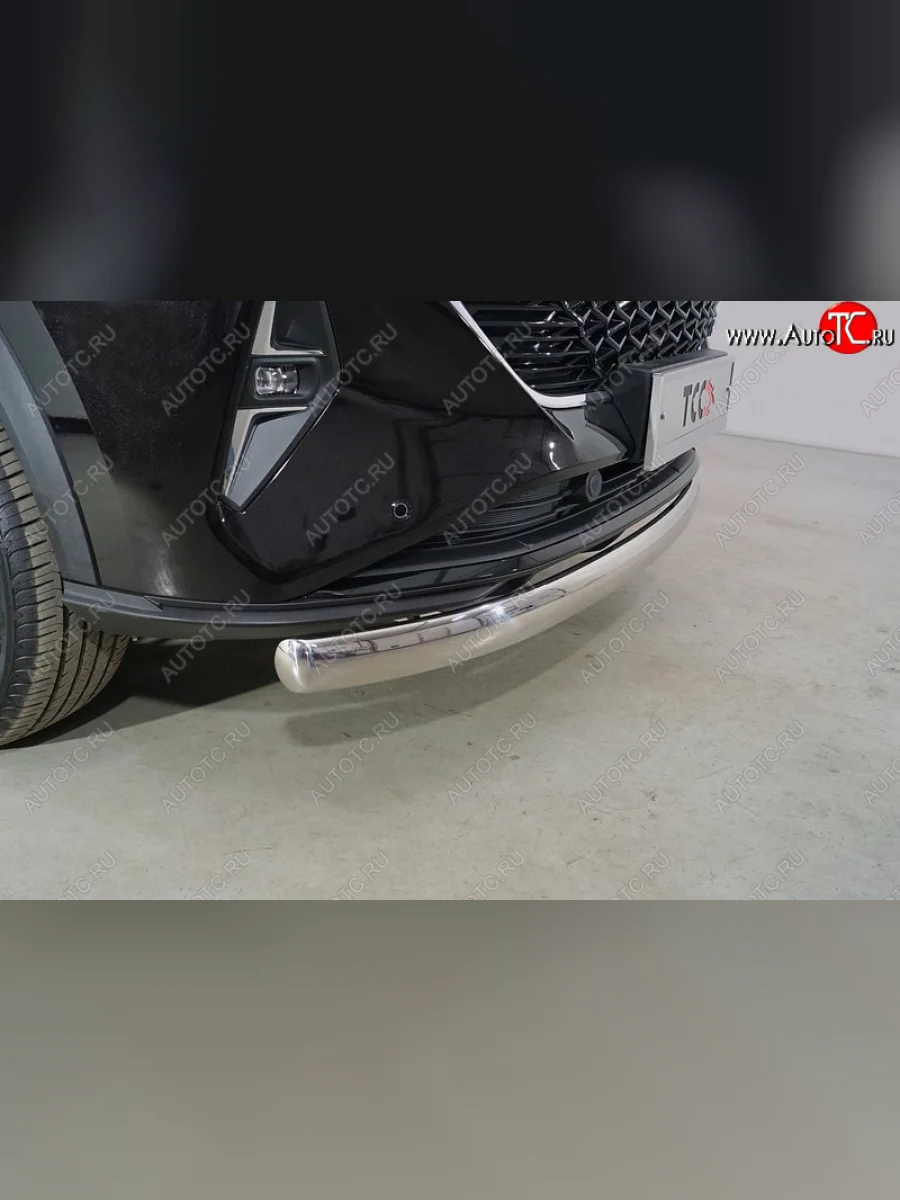 Защита переднего бампера нижняя овальная 75х42 мм ТСС Тюнинг Haval F7x рестайлинг (2022-2024) (нержавейка)  в Перми Пермском крае