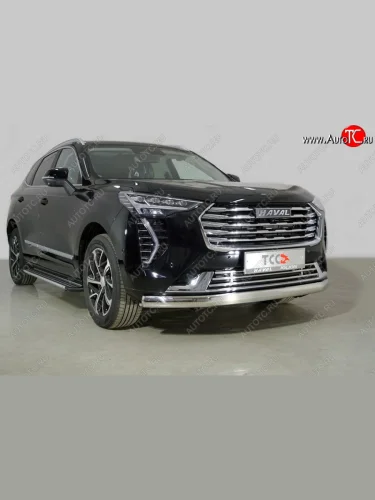 Защита переднего бампера нижняя овальная 75х42 мм ТСС Тюнинг Haval Jolion дорестайлинг (2020-2024)