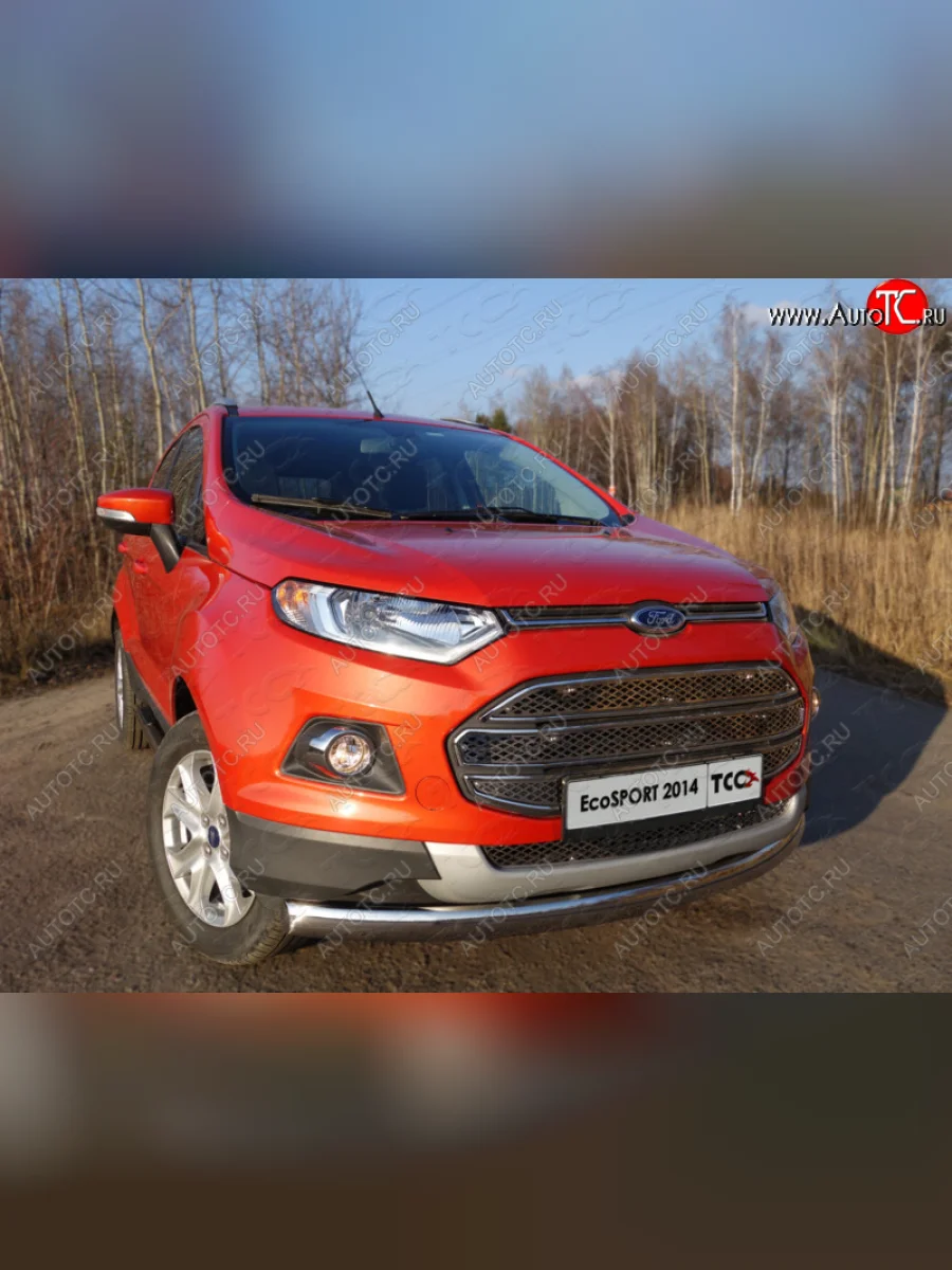 Защита переднего бампера нижняя овальная 75х42 мм ТСС Тюнинг Ford EcoSport дорестайлинг (2013-2019) (нержавейка)  в Самаре Самарской области