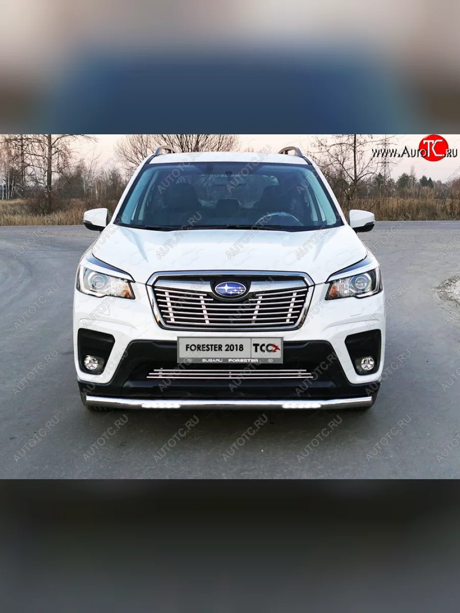 Защита переднего бампера нижняя с ДХО 60,3 мм ТСС Тюнинг Subaru Forester SK/S14 дорестайлинг (2018-2021) (нержавейка)  в Керчи Республика Крым