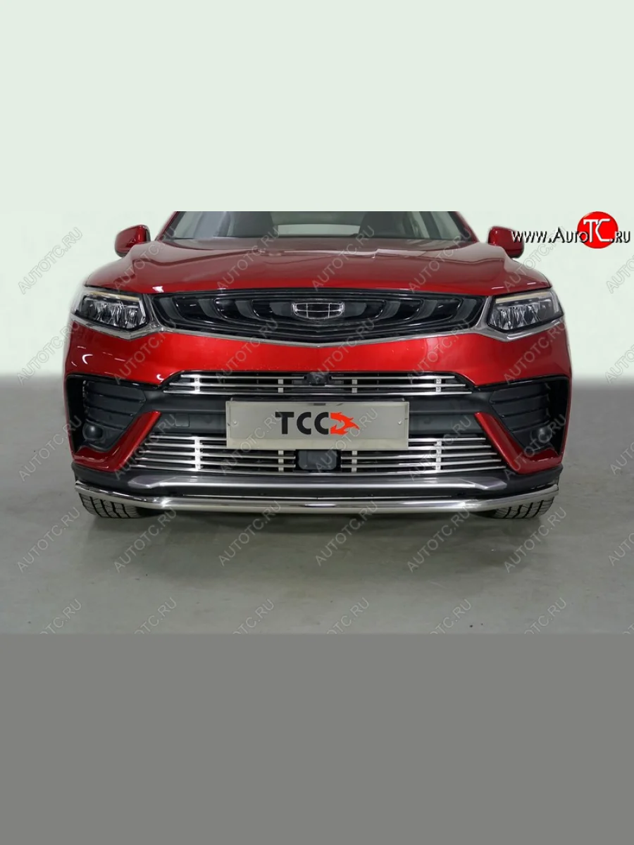 Защита переднего бампера нижняя 42,4 мм ТСС Тюнинг Geely Tugella FY11,HPBA4 дорестайлинг (2019-2023) (нержавейка)  в Самаре Самарской области