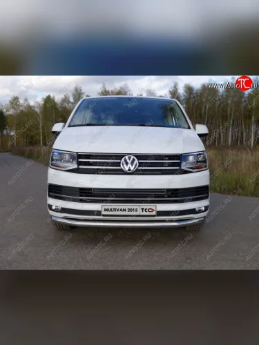 Защита переднего бампера нижняя d60,3 мм ТСС Тюнинг (нержавейка) Volkswagen Transporter  T6 (2015-2019) дорестайлинг