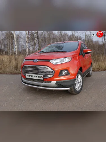 Защита переднего бампера нижняя d60,3 мм ТСС Тюнинг (нержавейка) Ford EcoSport (2013-2019) дорестайлинг