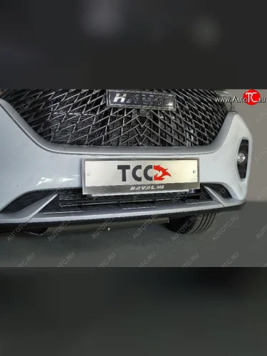 Рамка гос. номера ТСС Тюнинг (нержавейка) Haval M6 (2021-2025)