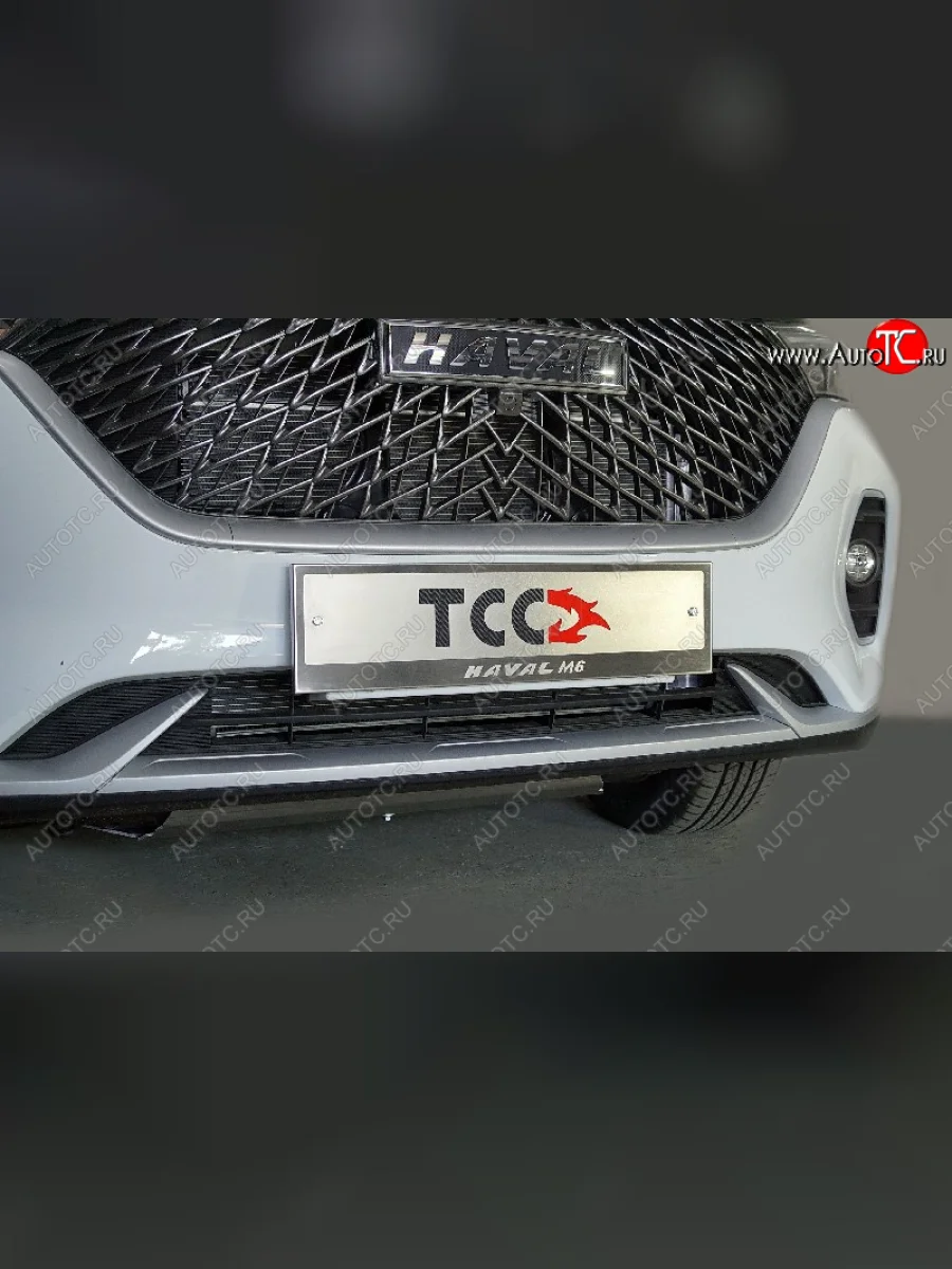 Рамка гос. номера ТСС Тюнинг Haval M6 (2021-2025) (нержавейка)  в Самаре Самарской области