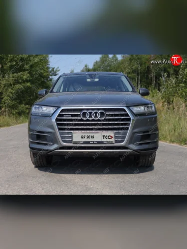 Рамка гос. номера ТСС Тюнинг (нержавейка) Audi Q7 4M дорестайлинг (2015-2020)