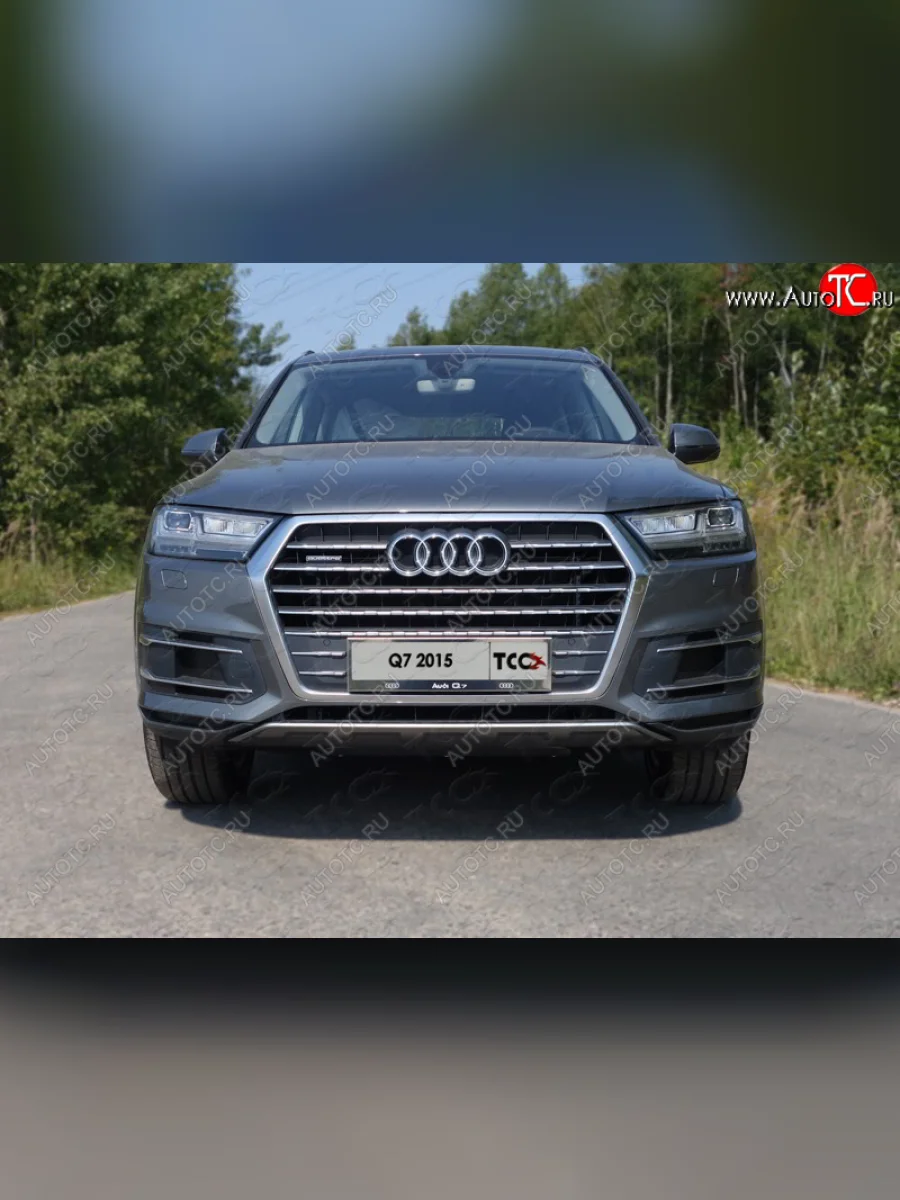 Рамка гос. номера ТСС Тюнинг Audi Q7 4M дорестайлинг (2015-2020) (нержавейка)  в Керчи Республика Крым