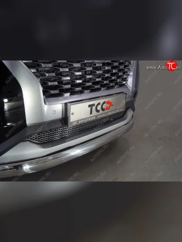Рамка гос. номера ТСС Тюнинг (нержавейка) Hyundai Palisade LX2 (2018-2022)