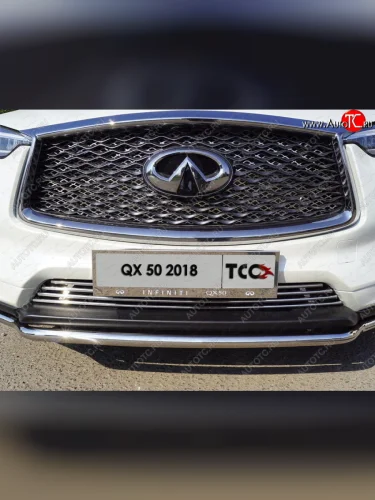 Рамка гос. номера ТСС Тюнинг (нержавейка) INFINITI Qx50 J55 (2017-2022)