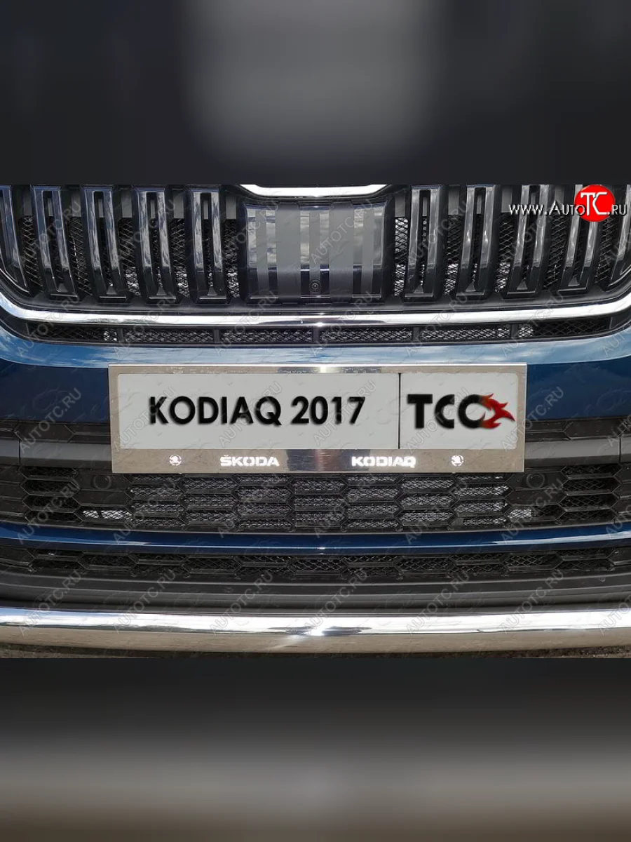 Рамка гос. номера ТСС Тюнинг Skoda Kodiaq 1 NS7 дорестайлинг (2017-2021) (нержавейка)  в Самаре Самарской области