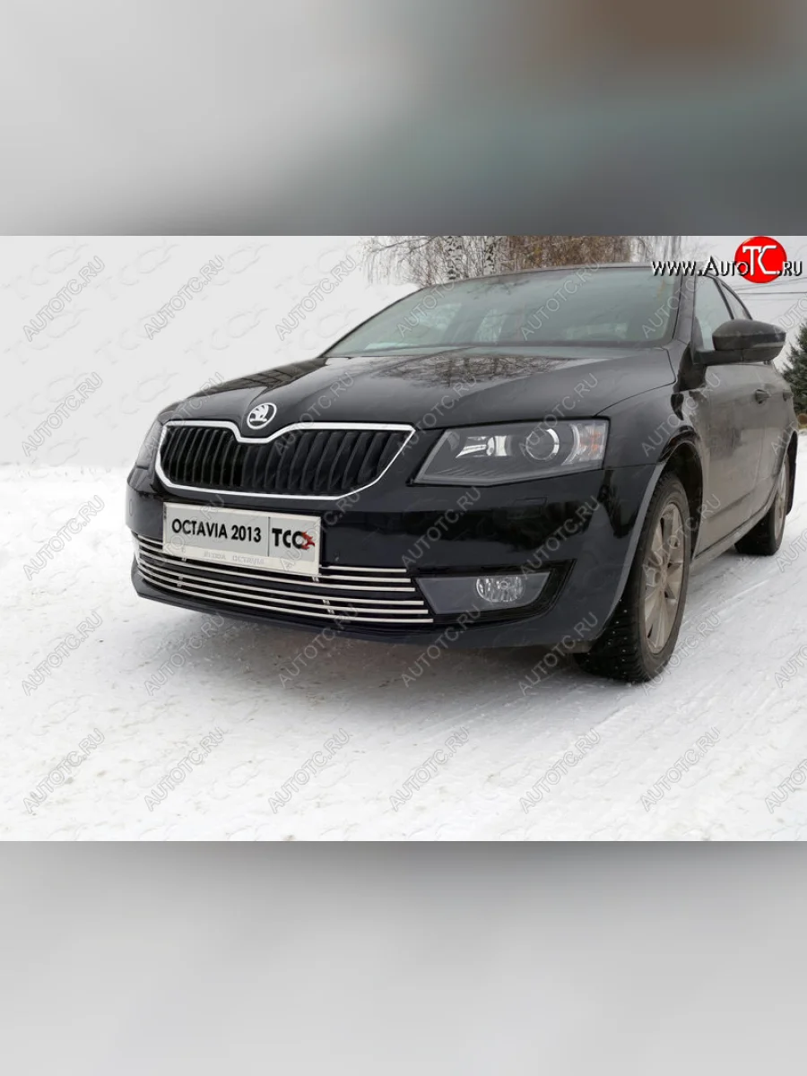 Рамка гос. номера ТСС Тюнинг Skoda Octavia A7 дорестайлинг лифтбэк (2012-2017) (нержавейка)  в Перми Пермском крае
