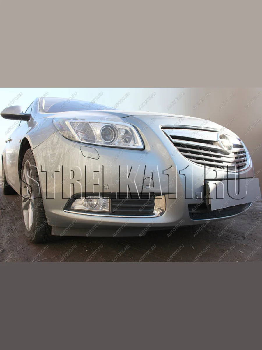 Защита радиатора Стрелка11 Стандарт Opel Insignia A дорестайлинг седан (2008-2013) (хром)  в Самаре Самарской области