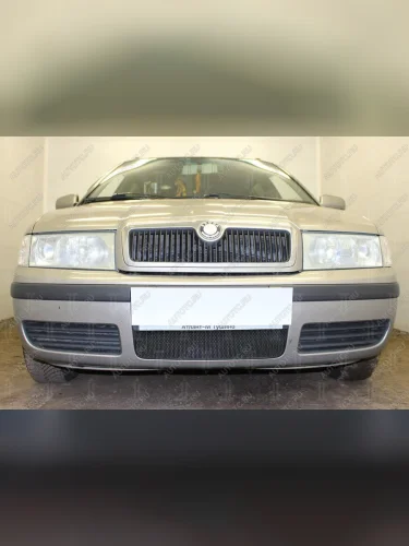 Защита радиатора (Active) Стрелка11 Стандарт (черная) Skoda Octavia ( Tour A4 1U2,  Tour A4 1U5) (2000-2010) лифтбэк рестайлинг, универсал рестайлинг
