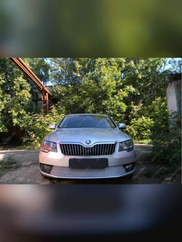 Защита радиатора Стрелка11 PREMIUM (хром) Skoda Superb B6 (3T5) универсал рестайлинг (2013-2015)