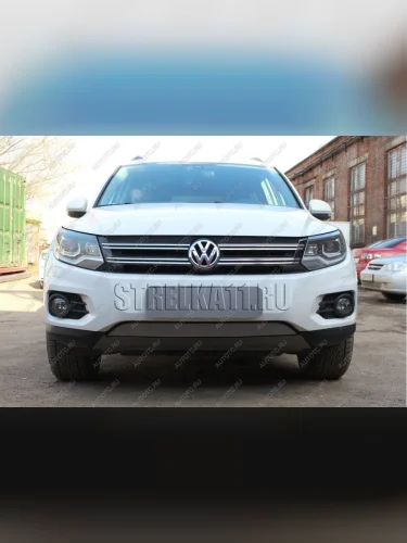 Защита радиатора (Track&Field) Стрелка11 Стандарт (хром) Volkswagen Tiguan NF рестайлинг (2011-2017)