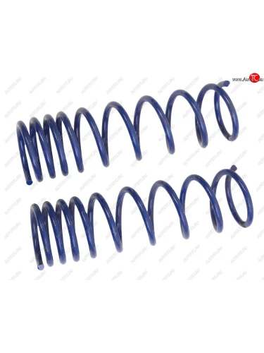 Пружина задней подвески переменный шаг FOBOS Лада ВАЗ 2101 (1970-1988)