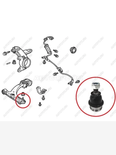 Шаровая опора нижняя LH=RH BAIKOR Honda StepWagon RG минивэн дорестайлинг (2005-2007)