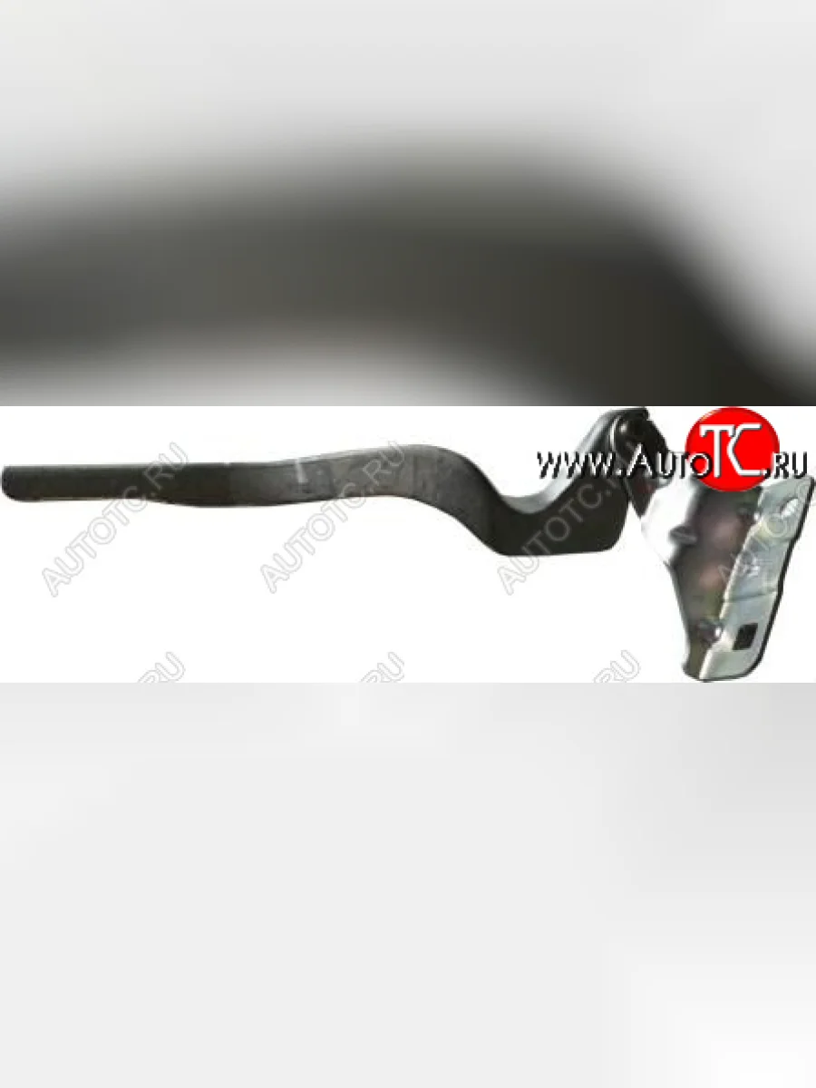 Правая петля капота (пр-во Тайвань) BodyParts Nissan Qashqai 1 J10 дорестайлинг (2007-2010) (неокрашенная)  в Керчи Республика Крым