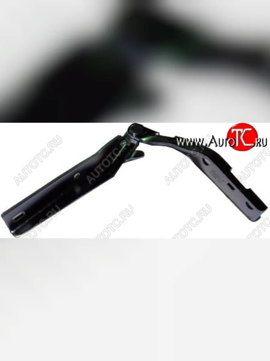 Правая петля капота (пр-во Тайвань) TYG Peugeot 206 хэтчбэк 3 дв. 2AC дорестайлинг (1998-2003) (неокрашенная)  с доставкой в г. Керчь