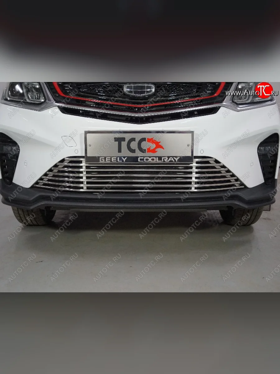 Декоративная вставка в бампер ТСС Тюнинг Geely Coolray SX11 рестайлинг (2023-2025) (d 12 мм)  с доставкой в г. Керчь