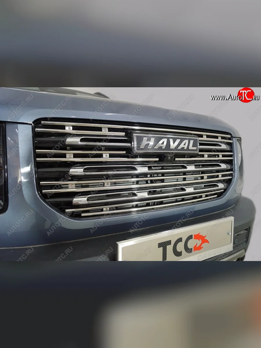 Декоративная вставка в решетку радиатора ТСС Тюнинг Haval Dargo (2022-2025) (d 12 мм)  в Самаре Самарской области