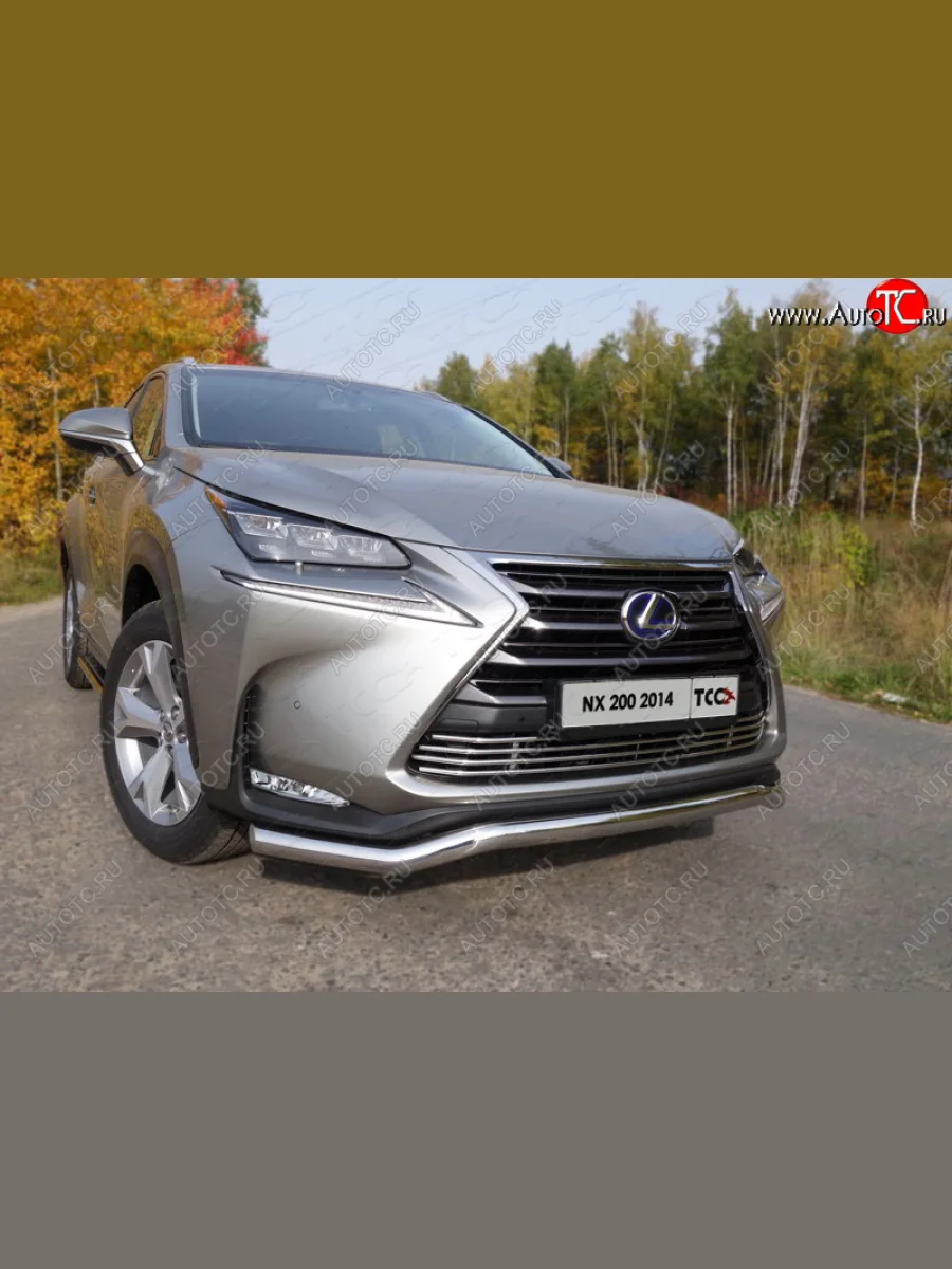 Декоративная вставка переднего бампера (кроме F-Sport) ТСС Тюнинг  Lexus NX200 (2014-2017) Z10 (d 12 мм)  с доставкой в г. Керчь