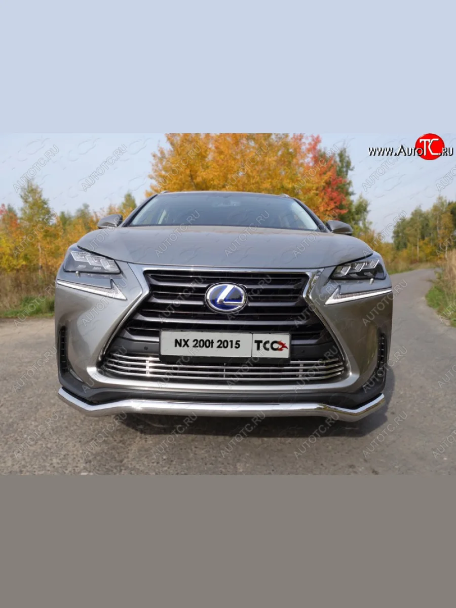 Декоративная вставка переднего бампера (кроме F-Sport) ТСС Тюнинг  Lexus NX200T (2014-2017) Z10 (d 12 мм)  с доставкой в г. Керчь
