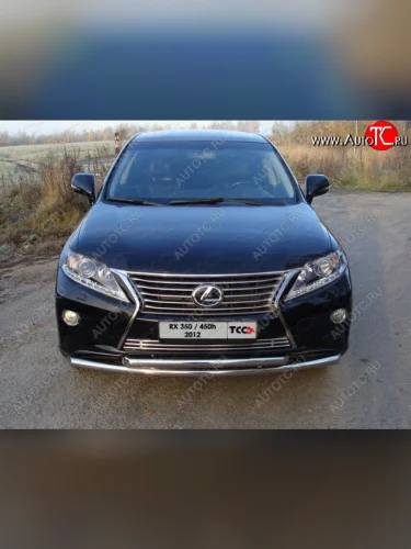 Декоративная вставка переднего бампера (кроме F-Sport) ТСС Тюнинг (d 12 мм) Lexus RX350  AL10 (2012-2015) рестайлинг