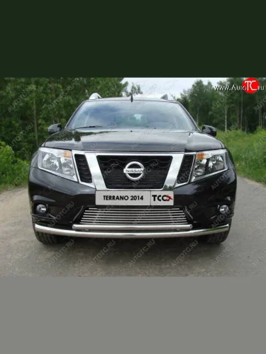 Декоративная вставка переднего бампера ТСС Тюнинг (d 12 мм) Nissan Terrano  D10 (2013-2016) дорестайлинг