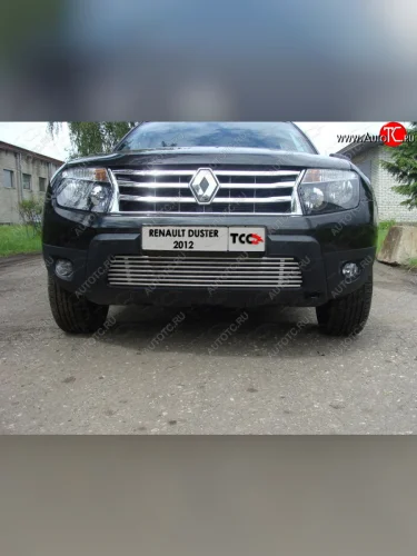 Декоративная вставка переднего бампера ТСС Тюнинг (d 12 мм) Renault Duster  HS (2010-2015) дорестайлинг