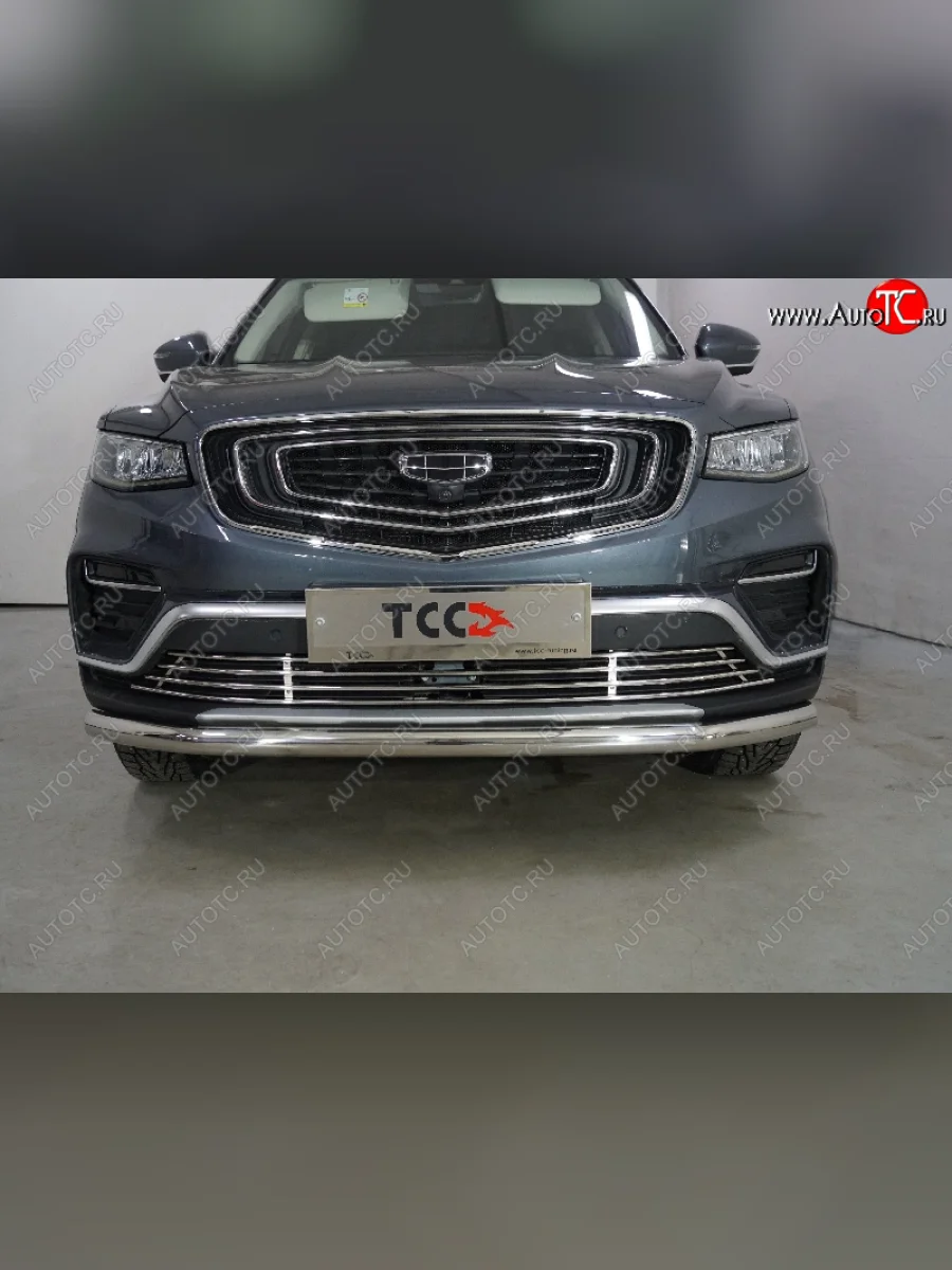 Декоративная вставка переднего бампера (без круиз-контроля) ТСС Тюнинг  Geely Atlas Pro (2019-2025) NL3 (d 12 мм)  с доставкой в г. Пермь