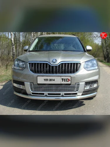 Декоративная вставка переднего бампера (только для комплектации Outdoor) ТСС Тюнинг (d 12 мм) Skoda Yeti (2013-2018)