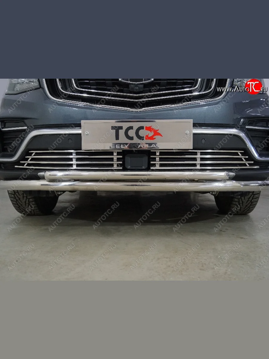 Декоративная вставка решетки радиатора ТСС Тюнинг  Geely Atlas Pro (2019-2025) NL3 (d 12 мм)  в Керчи Республика Крым