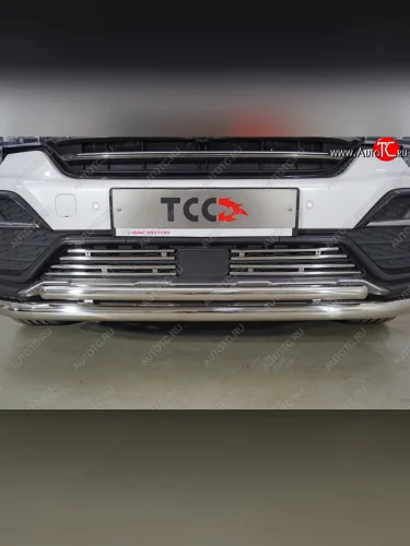 Декоративная вставка переднего бампера ТСС Тюнинг (d 12 мм) GAC GS8 (2016-2023)
