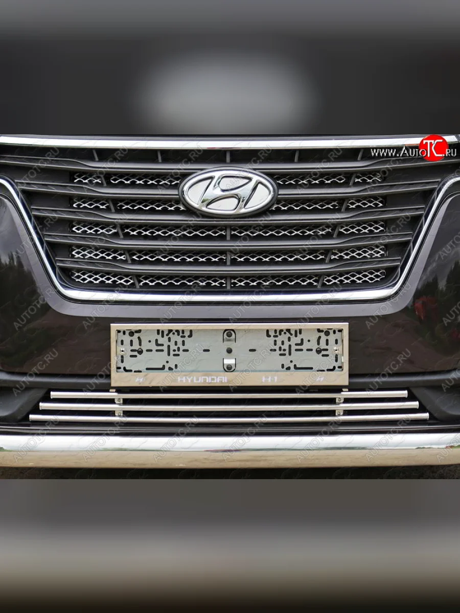 Декоративная вставка переднего бампера ТСС Тюнинг  Hyundai Starex/Grand Starex/H1 (2017-2022) TQ (d 16 мм)  с доставкой в г. Керчь